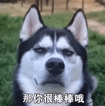 拜年表情包搞笑幽默二哈