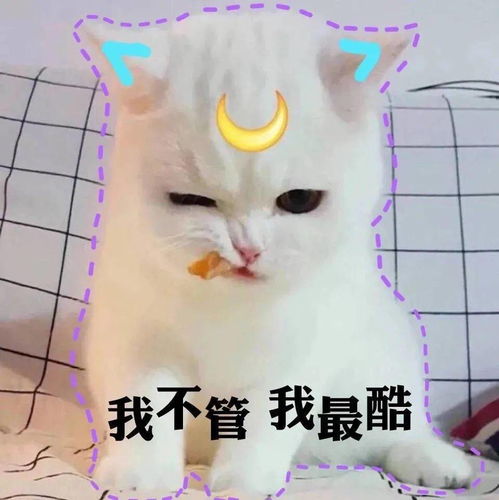 我没有那种世俗的欲望