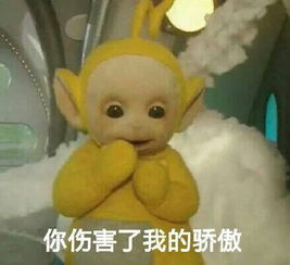 魔性的恶搞表情图天线宝宝