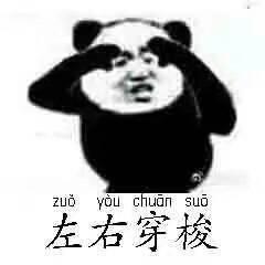 熊猫头太极拳招式表情包白鹤亮翅双峰贯耳