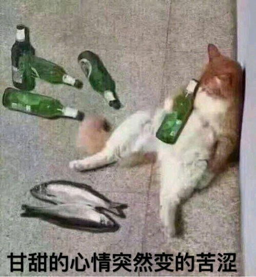 非主流的表情包图片拦路虎和我太难,无所谓也有点累