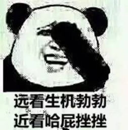 公众号表情包嘻嘻