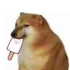 这只狗狗的表情包有系列嘛