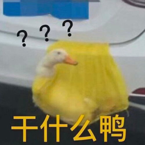 沙雕表情包狗都困了,你还不困