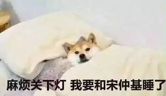什么韩星恋爱成真吓得老夫吃黄皮也来不及吐核