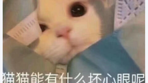 坏坏坏表情包图片李永鹤