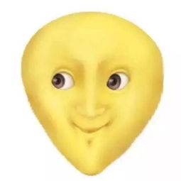 为什么圆脸比瓜子脸好看