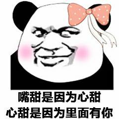 表情包撩人熊猫头表情包,不想撞南墙了,想撞先生的胸膛