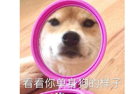 为给妹子制造惊喜,小伙用宝可梦堵路30天,竟赢得上万网友点赞