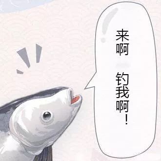 喜讯大鱼将至