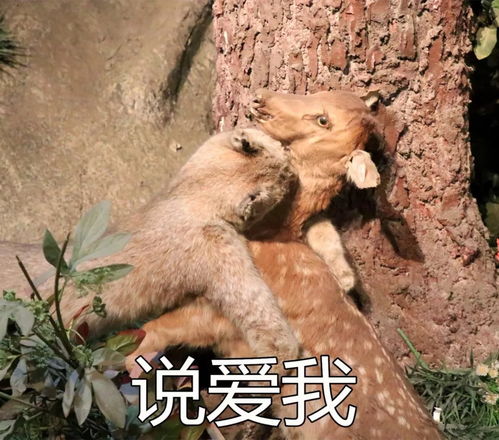 你们在博物馆看文物,我在内蒙古博物院找表情包