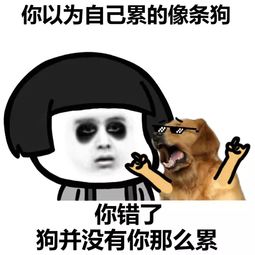 一天不要净说大实话