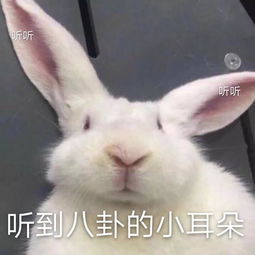 高三第一次大考来临,或影响自招初审,如此重要该如何备考