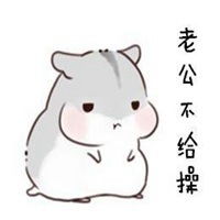 叫老公的表情包表情包