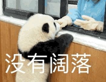 每日表情熊猫表情