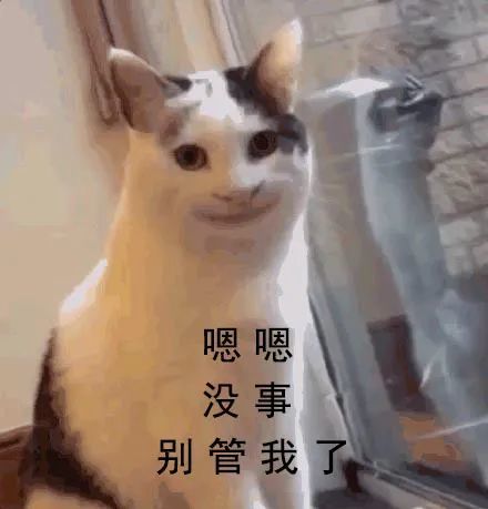 这可能是唯一一张不缺资源的td图无限抽卡抽到手抽筋