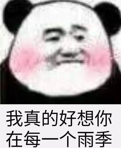 最火抖音表情包纸短情长熊猫头表情包怎么会爱上了她并决定跟她回家