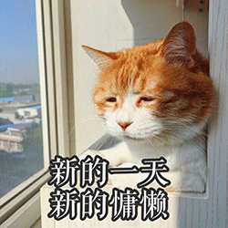 表情包我不过是只瘦小可怜又无助的小猫咪罢了