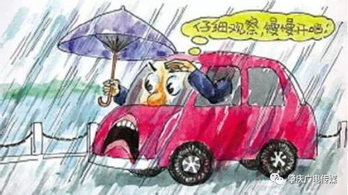 可能是肇庆暴雨水浸街最全面报道,灾情如何幽默有才的网友......