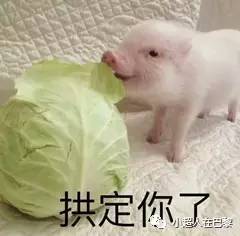 西班牙安瓶这么多,我却只为它打call