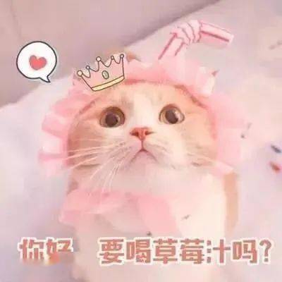 小仙女表情包用起来