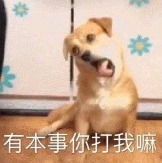 有本事你打我嘛汪星人表情包汪星人本事表情