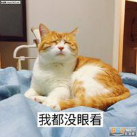 女人都是骗表情包微信头像图片大全
