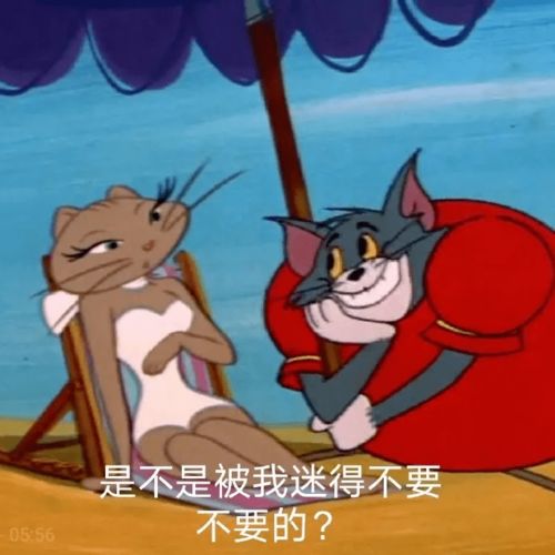 沙雕表情包你好好一个女孩子不抽烟不喝酒