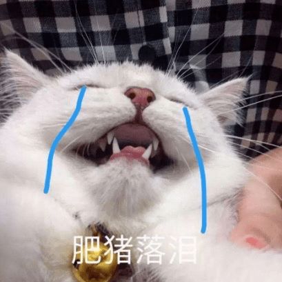 e句话看天下丨二十年了,梁静茹还是没能得歌后