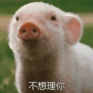 开心食堂这保温壶有点废纸