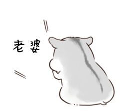 参见老婆大人表情包合集