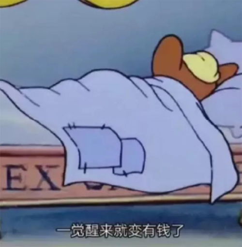 激光猫猫表情包天干地支