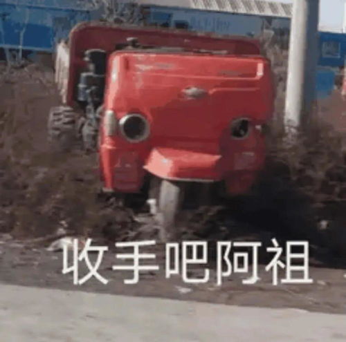 外面全是成龙表情包