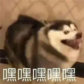 笑麻了,内娱还有不谈恋爱的男秀人吗