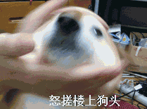 怒搓狗头表情包gif