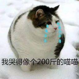抗糖智商税别再被骗了