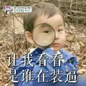 表情包可爱仓鼠宋民国