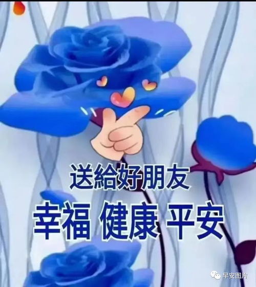 晚上好温馨祝福图片,晚上好暖心问候祝福语大全,晚上好表情图片,愿您有个美好夜晚