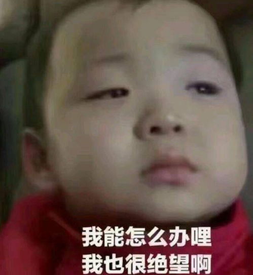 卖农资到底能挣多少钱