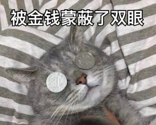 榜一大哥豪刷百万,未料被人捷足先登,情敌最终化为战友