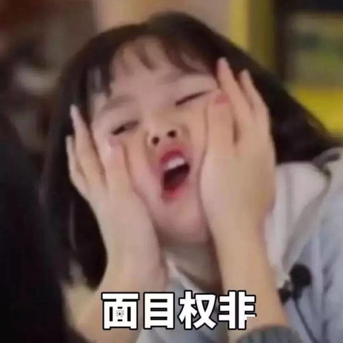 今日份表情包