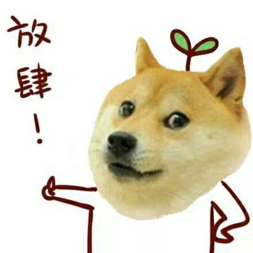 刺客伍六七表情包无语柴犬