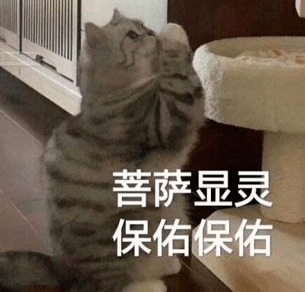 你知道戏精最多的地方是哪里吗别把什么都晒到朋友圈哈哈哈哈哈哈哈哈哈