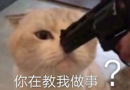 原神公子复刻池角色预测除了罗莎莉亚,大概率还有菲谢尔和ta