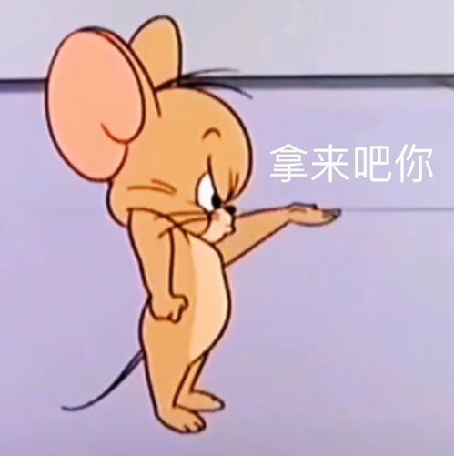 表情拿来吧你表情包