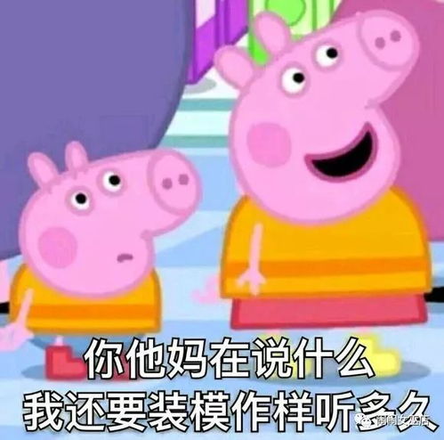 12星座能装傻到什么程度