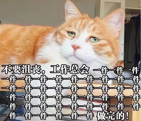 红领智课,在职考公人员的福音
