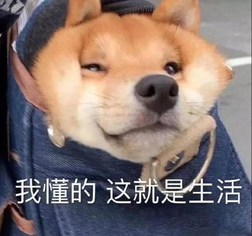 无锡人通勤时间大讨论你坐地铁上班要多久