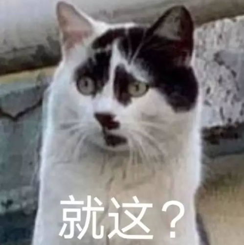 奶牛猫丑到自带表情包2020第一批丑猫出炉,一般人吸不动