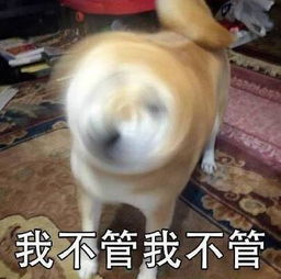 云栖音乐节马云连唱四首歌,李健都差点被带跑